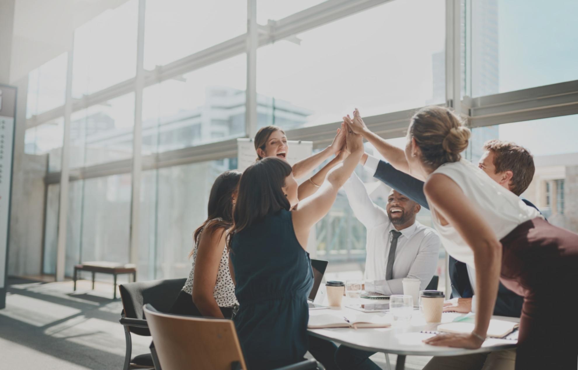 Structured investment evaluation curriculum overview